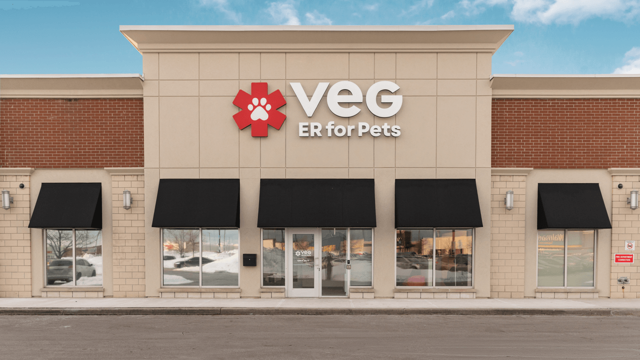 Four ways VEG ER for Pets is revolutionizing emergency veterinary care
