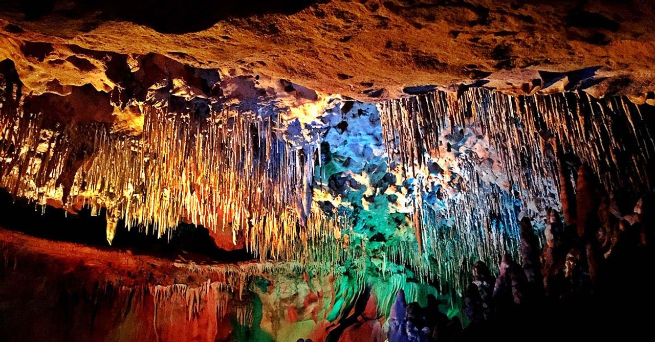Florida’s hidden gems for adventure seekers and outdoor lovers