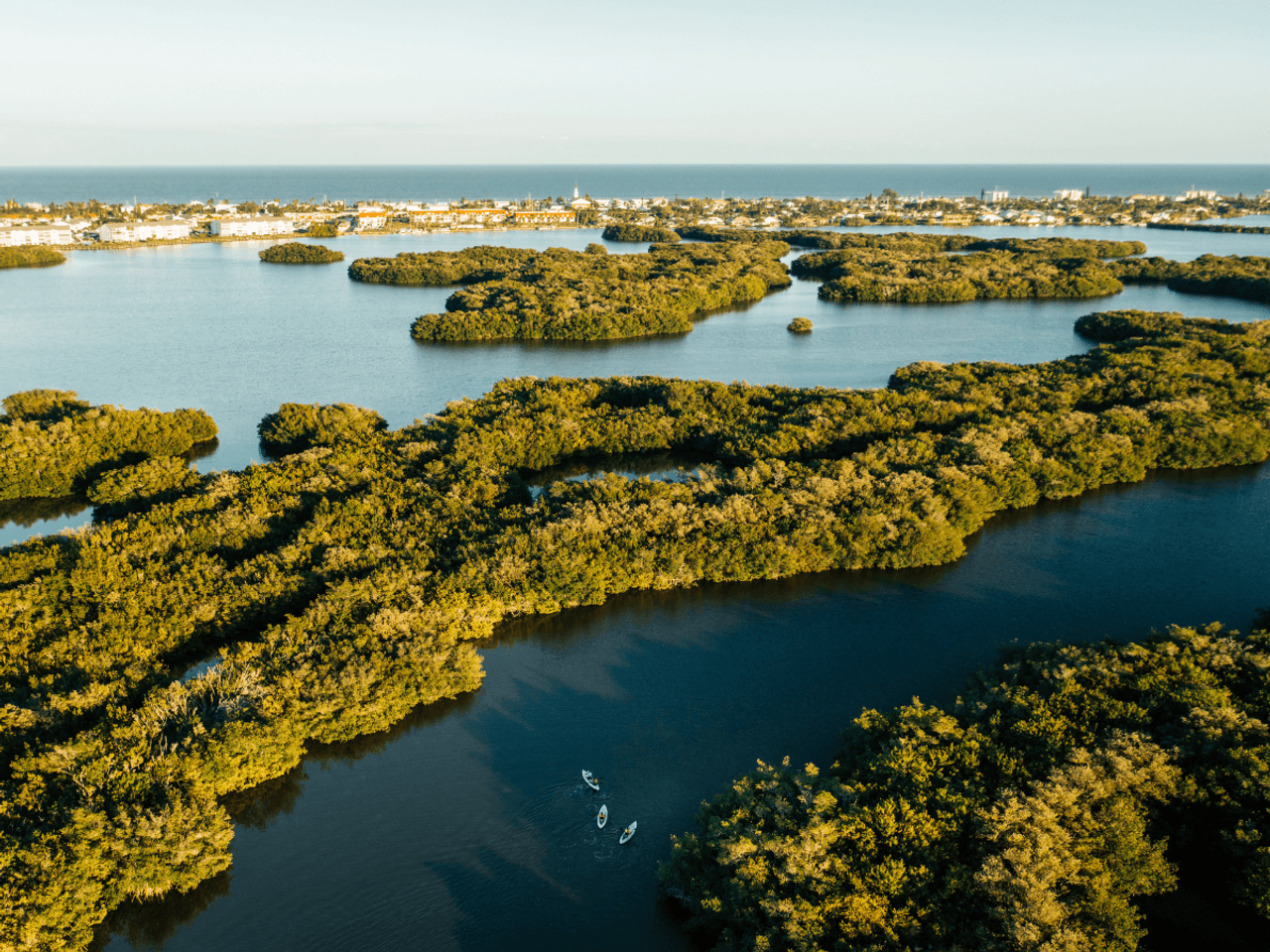 Florida’s hidden gems for adventure seekers and outdoor lovers