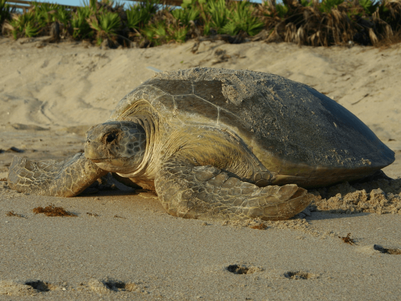 Florida’s hidden gems for adventure seekers and outdoor lovers
