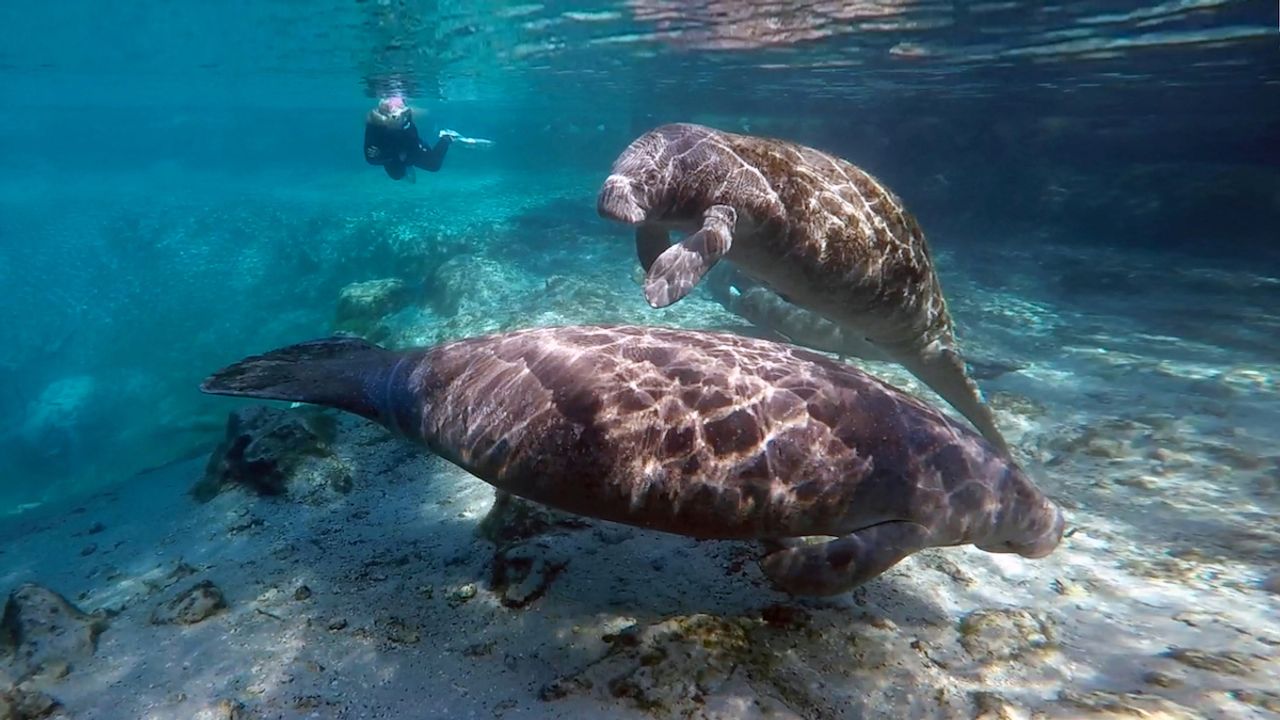 Florida’s hidden gems for adventure seekers and outdoor lovers