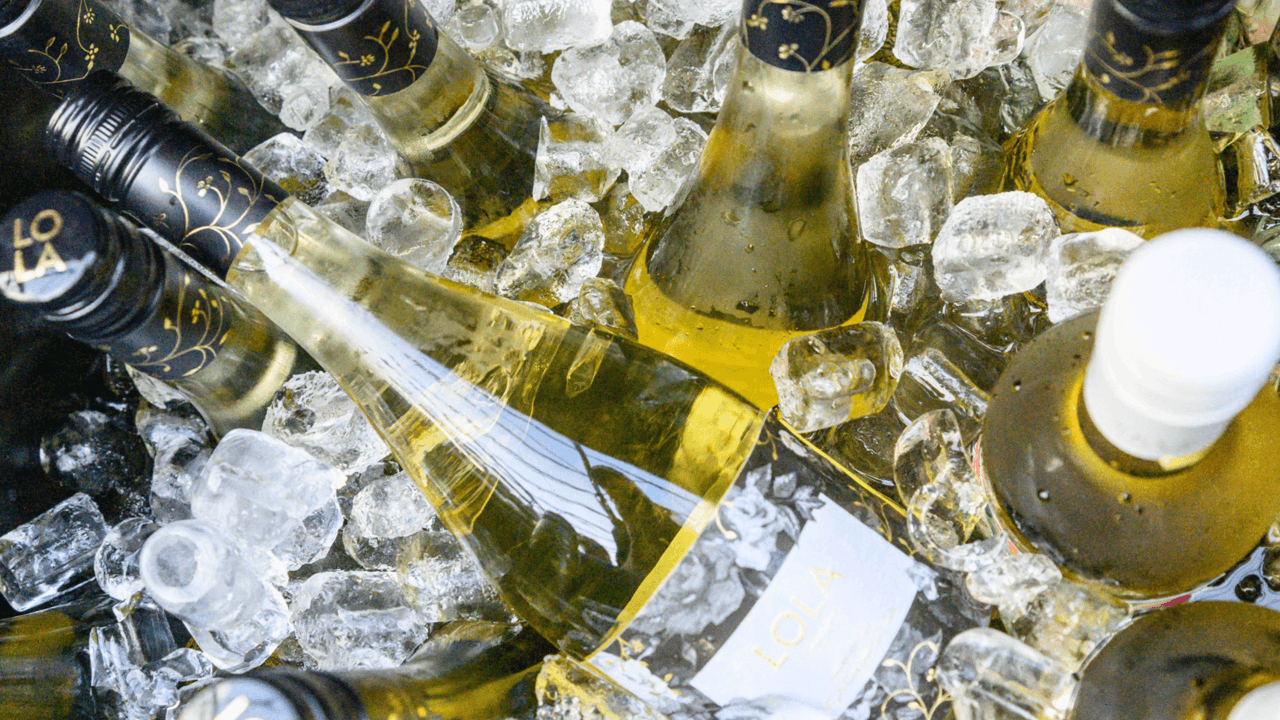 What went down at the Tricon x Toronto Life 2025 Summer Garden Party