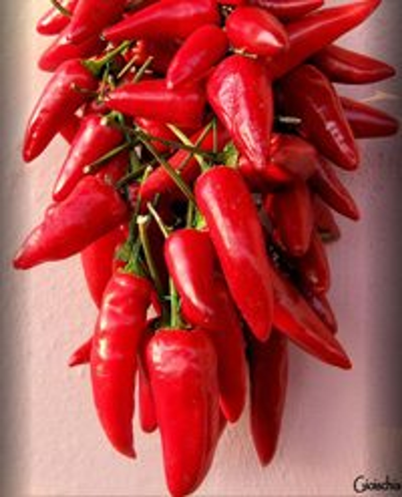 Tempting chilies (Photo by Giorgio Di Iorio)