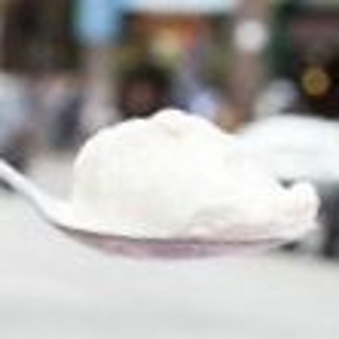 Top five ice creams in Toronto