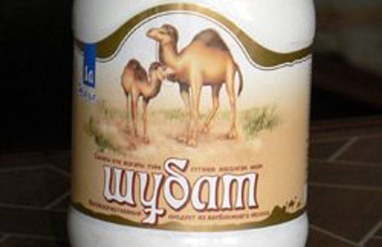 Land of milk and money: Al Nassma Chocolate aims to seduce the world with camel's milk products (Photo by Sara Yeomans)