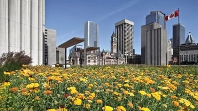 Reason to Love Toronto: because city hall is leading by example, for once