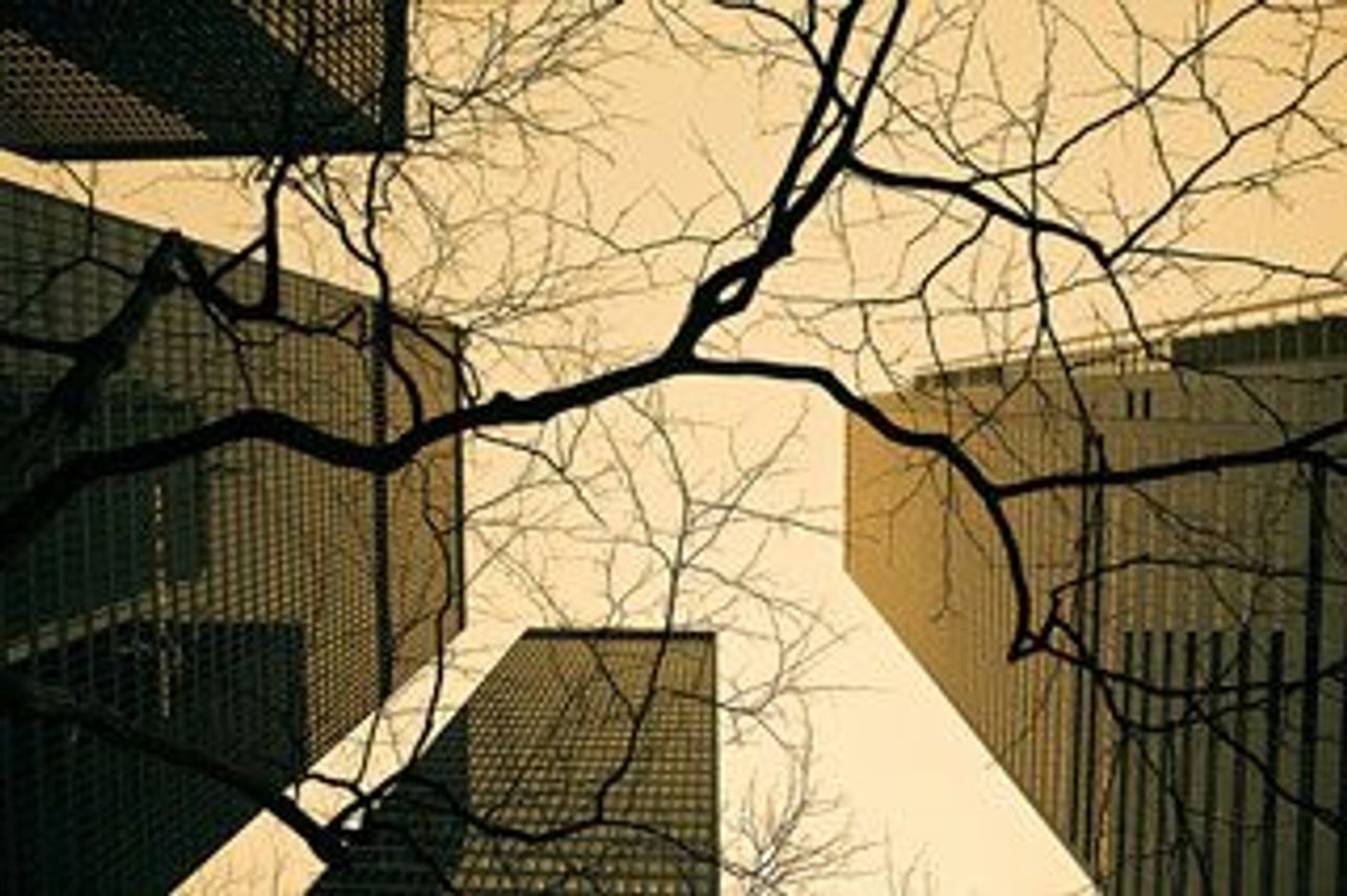 Bay Street: nothing to regulate here (Image: Neil Ta, from the torontolife.com Flickr pool)
