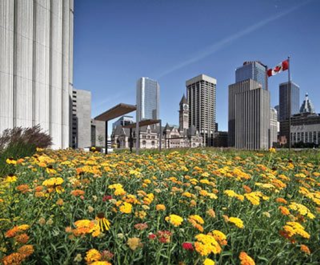 Reason to Love Toronto: because city hall is leading by example, for once