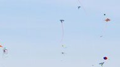 Toronto councillor declares war on kite-based violence