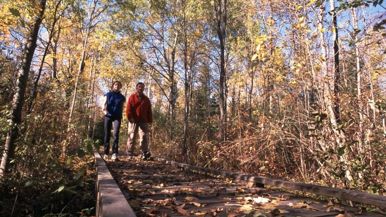 MacGregor Point Provincial Park