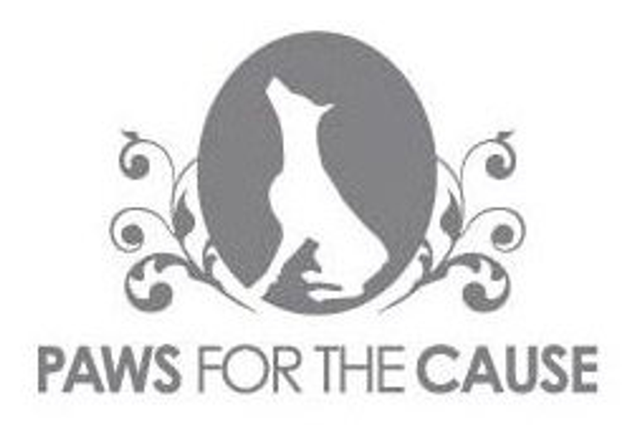It’s coming! Cute puppies taking baths in a park (for charity)