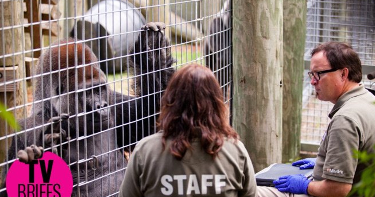 Undercover Boss Canada, episode 1 hanging with gorillas (and worse
