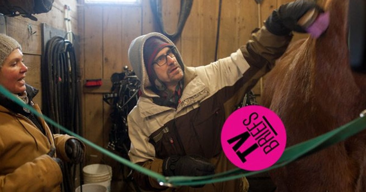Undercover Boss Canada, episode 9 horse poop and a sailboat
