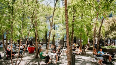 The best wellness destinations in Bloor-Yorkville