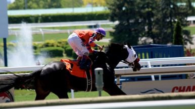 Off to the Races: A Day at Woodbine