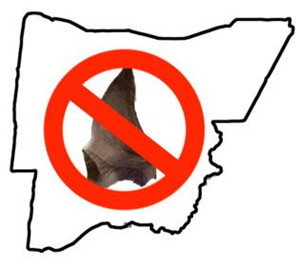 Mississauga bans shark fin products, for real this time