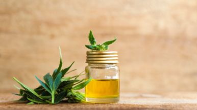 CBD vs THC: Why consumers are passing on the puff in favour of oils