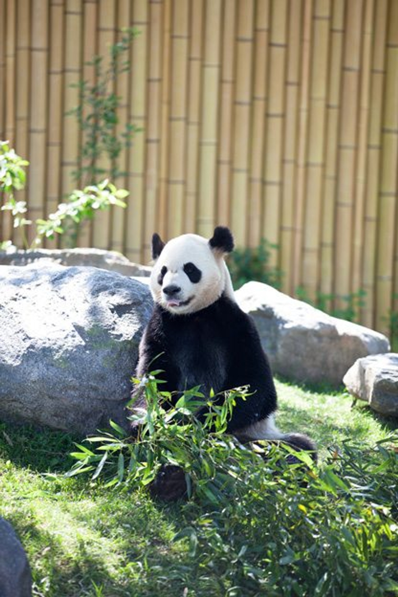 Toronto Zoo