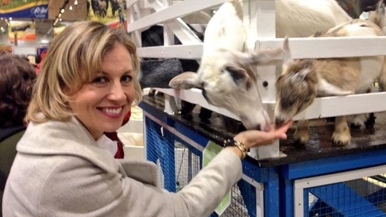 QUOTED: Karen Stintz on what Toronto council should do about Rob Ford