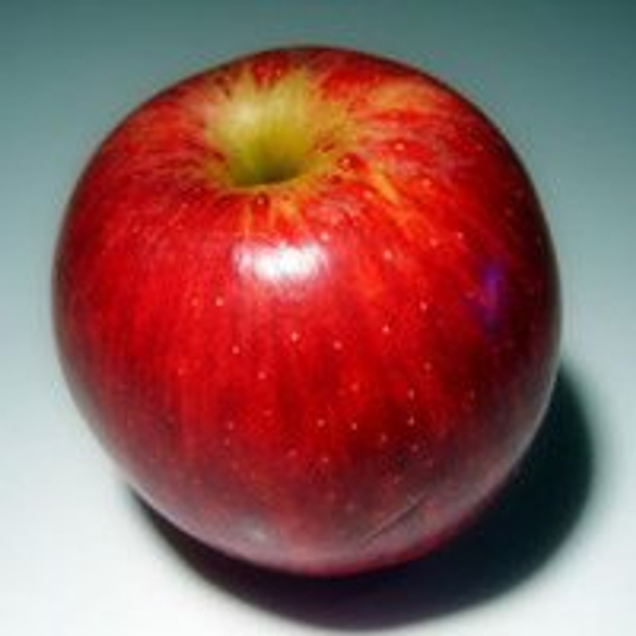 Doug Ford: “You can be racist against people that eat little red apples.”
