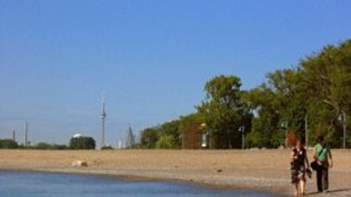 Yes, New York, Toronto has heat waves and beaches