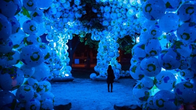 Nuit Blanche