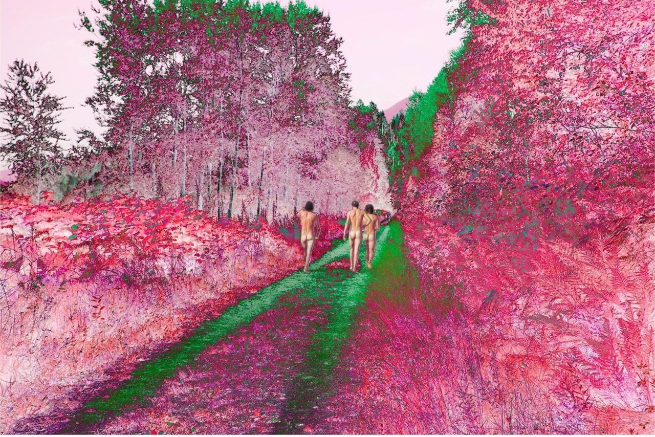 Sarah Anne Johnson: Field Trip