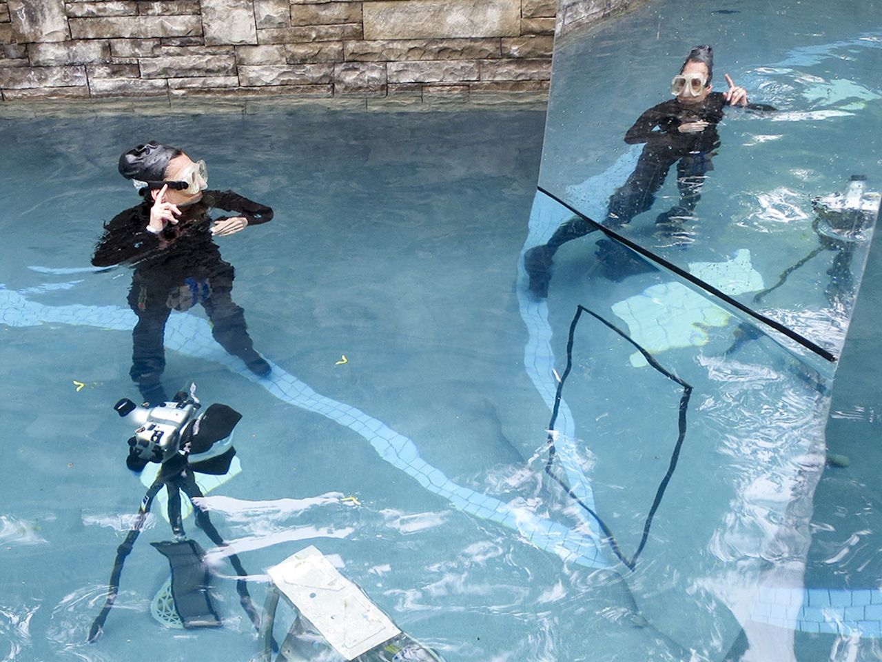 How photographer Barbara Cole turns her underwater photos into lush dreamscapes