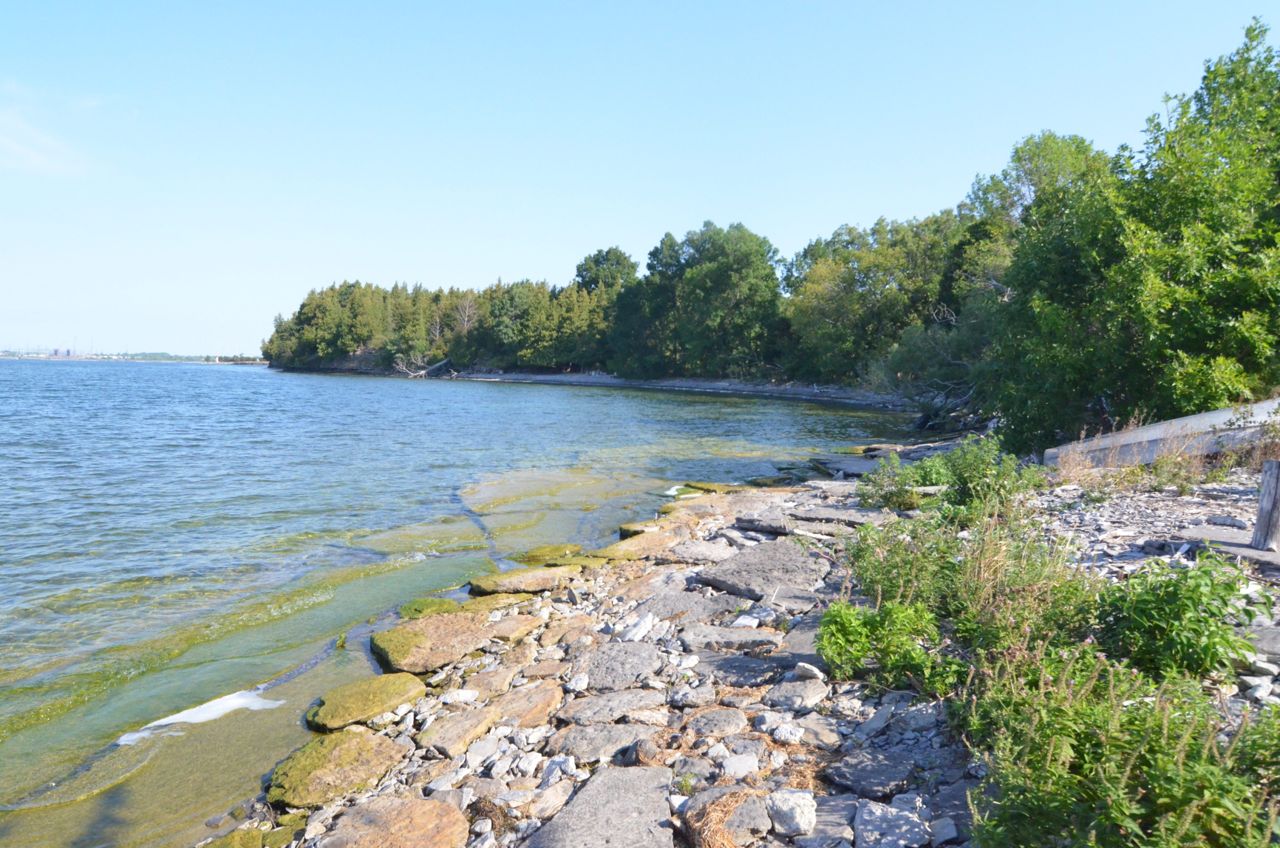 Cottage of the Week: $550,000 for an island retreat with stone walls