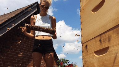 How to learn beekeeping, hipster etiquette and other life skills you didn't know you needed
