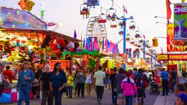 A wild ride at the CNE, a music campout and six other things to see, hear and do in Toronto this week