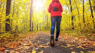 Healthy, Wealthy, Wise: A Cheat Sheet to Self-Improvement this Fall