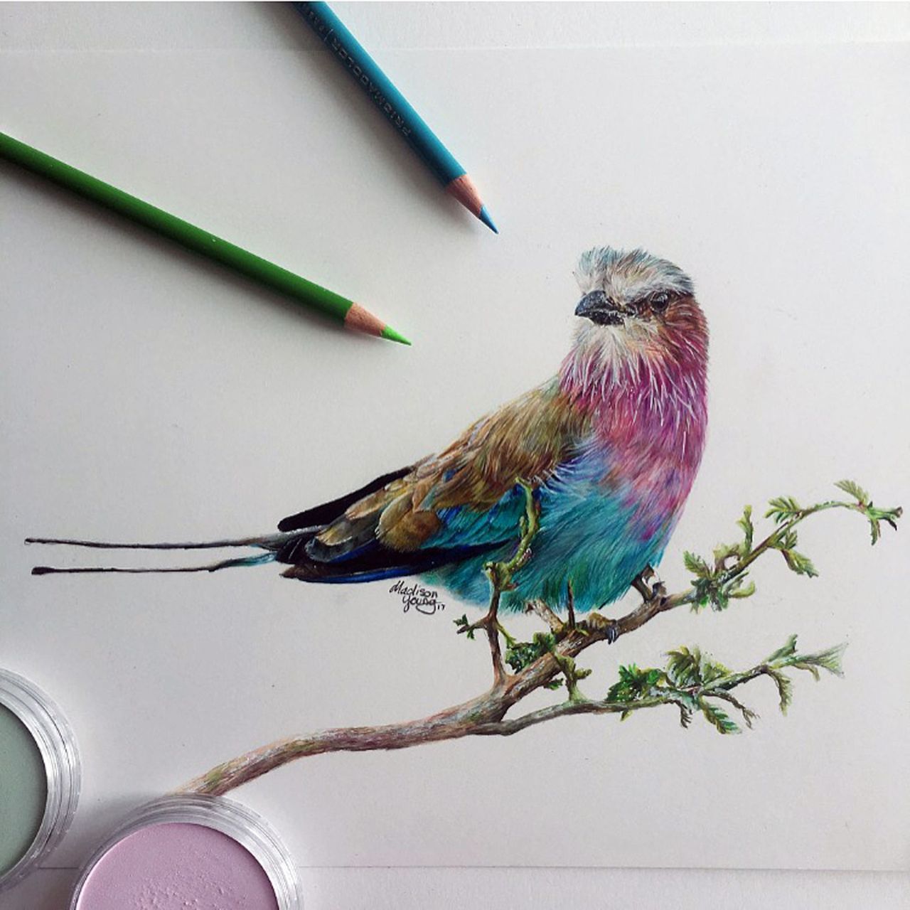This 16-year-old artist creates drawings that look like photographs