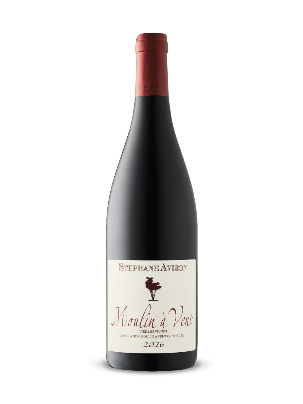 The best new bottles at the LCBO in August