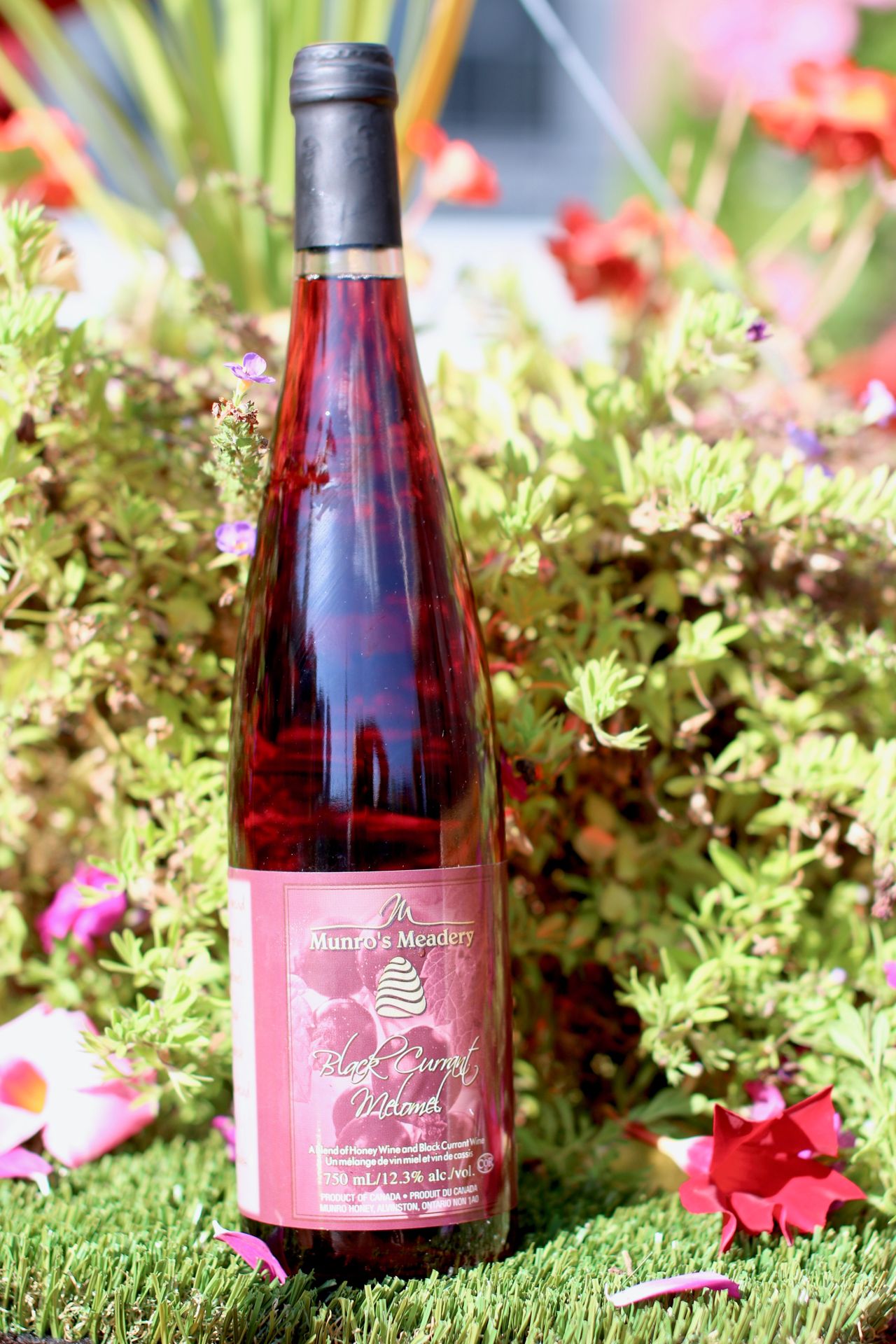 Mead is having a moment. Here are eight Ontario-born bottles and cans to try this fall