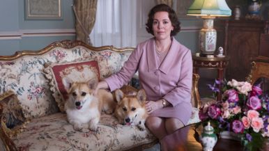 Every new title coming to Netflix Canada in November 2019
