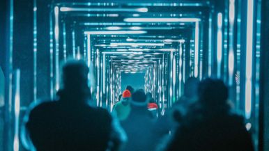A look at Terra Lumina, the Toronto Zoo’s trippy, multisensory nighttime walk