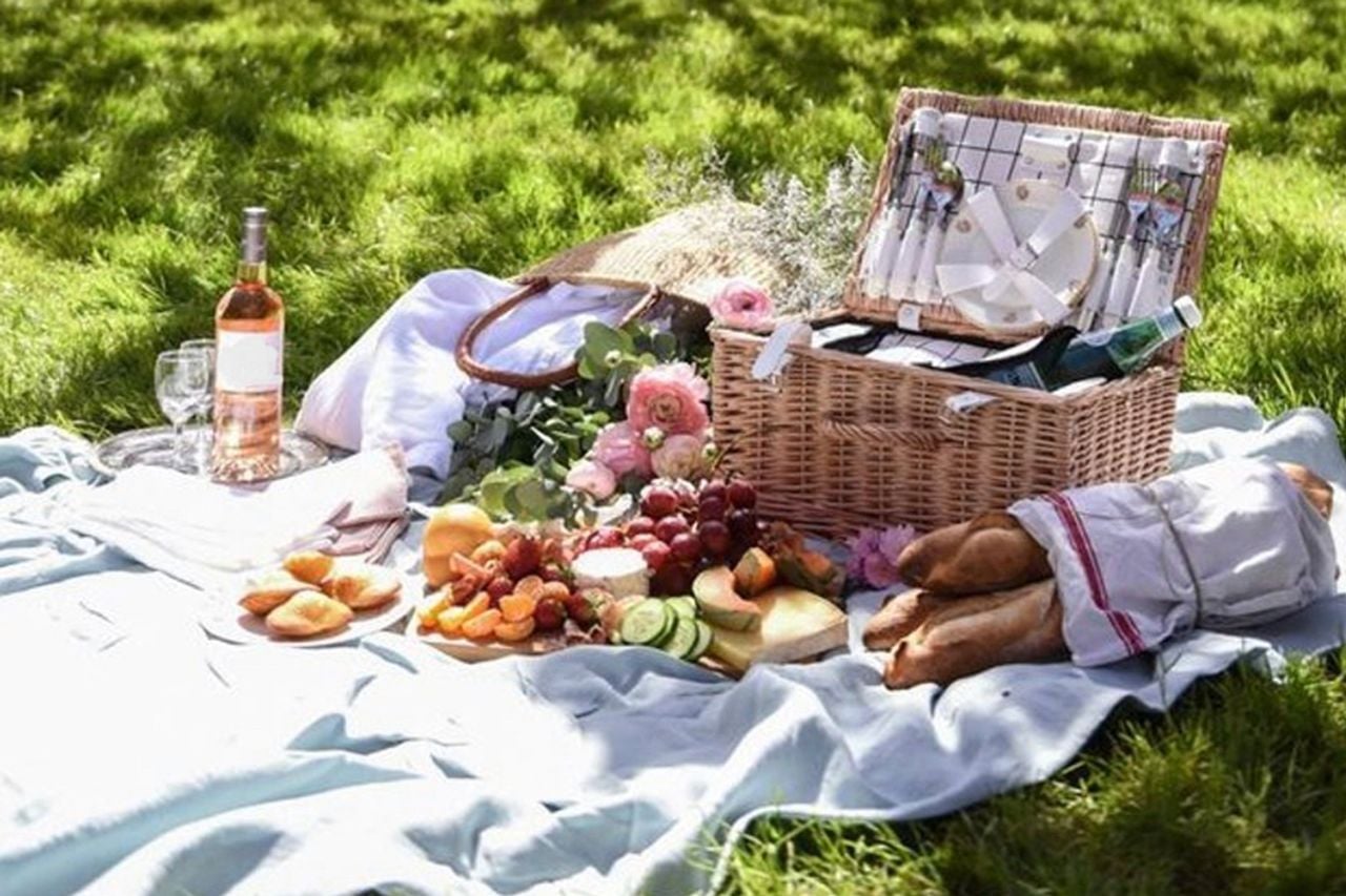 Summer's in full-swing: what TL Insiders have to look forward to this July