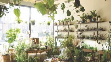 How to turn your house green