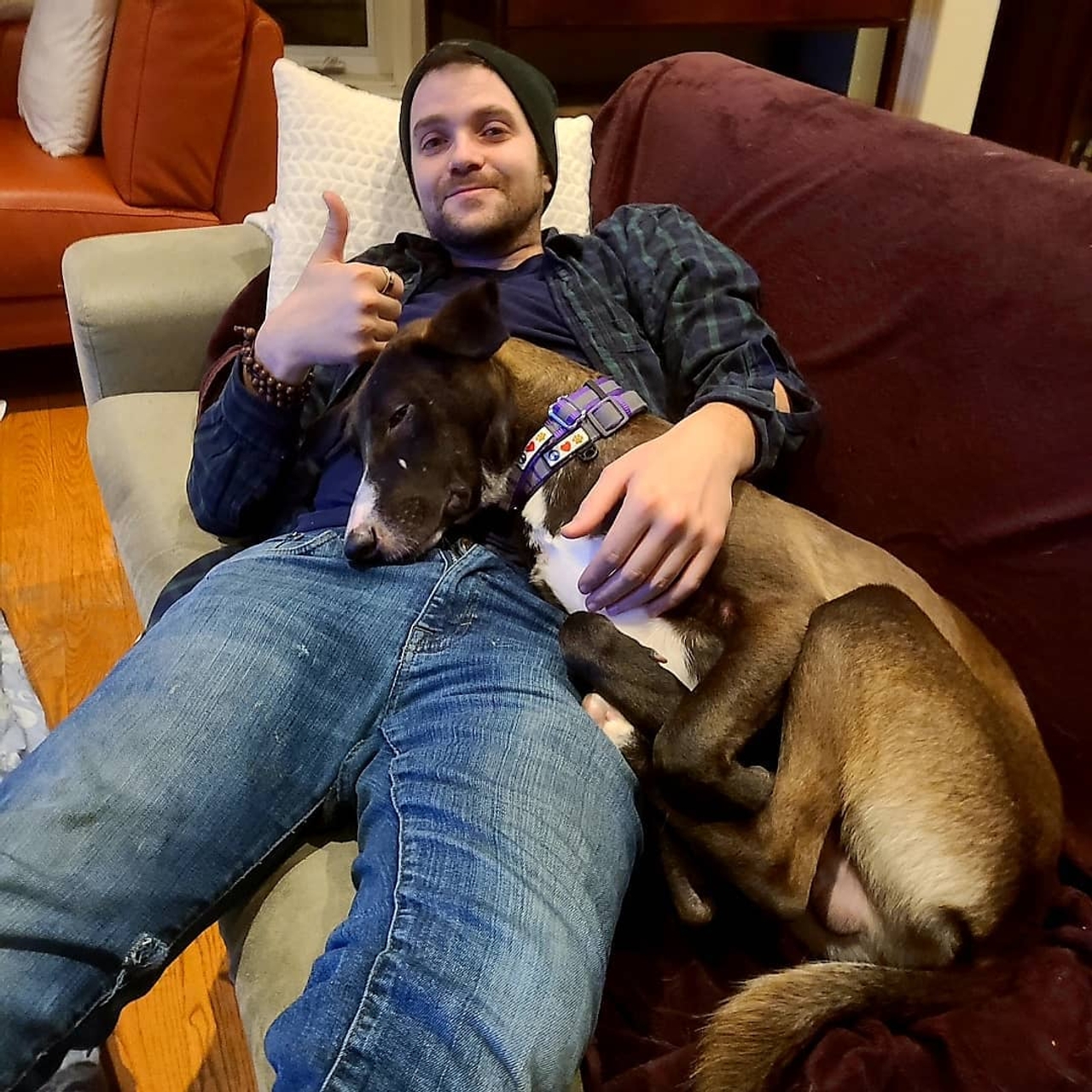 "I probably use his Instagram more than my own": How new pets helped these Torontonians get through the pandemic