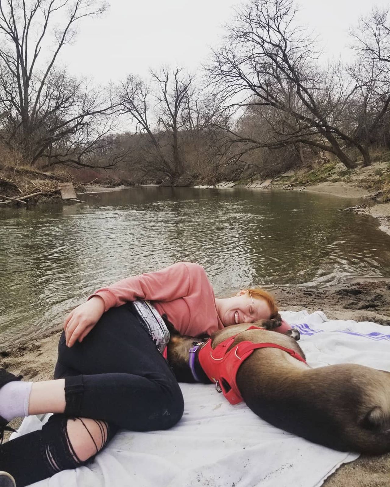 "I probably use his Instagram more than my own": How new pets helped these Torontonians get through the pandemic