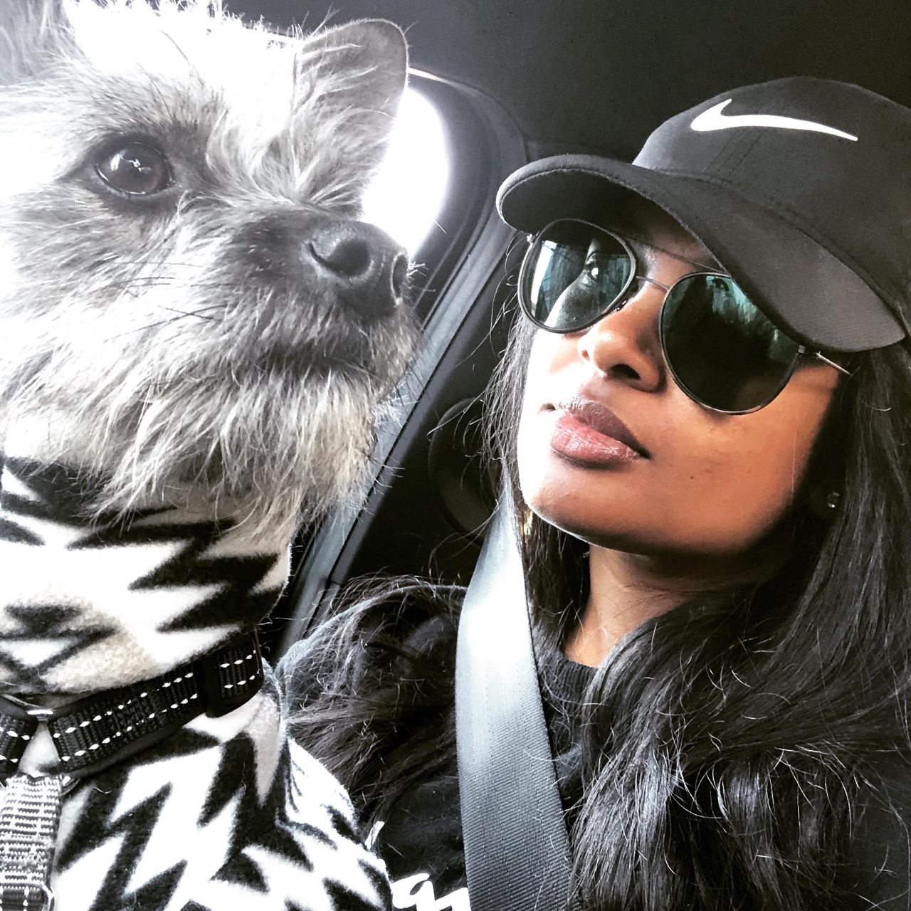 "I probably use his Instagram more than my own": How new pets helped these Torontonians get through the pandemic