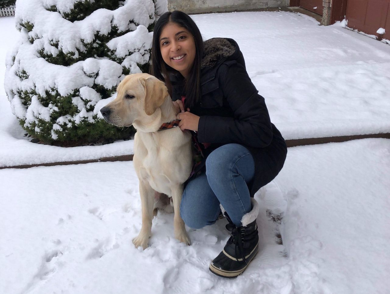 "I probably use his Instagram more than my own": How new pets helped these Torontonians get through the pandemic
