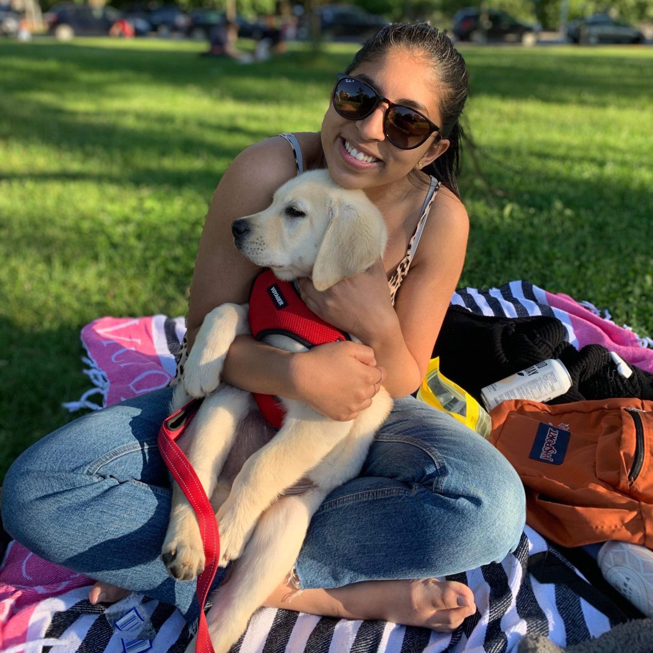 "I probably use his Instagram more than my own": How new pets helped these Torontonians get through the pandemic