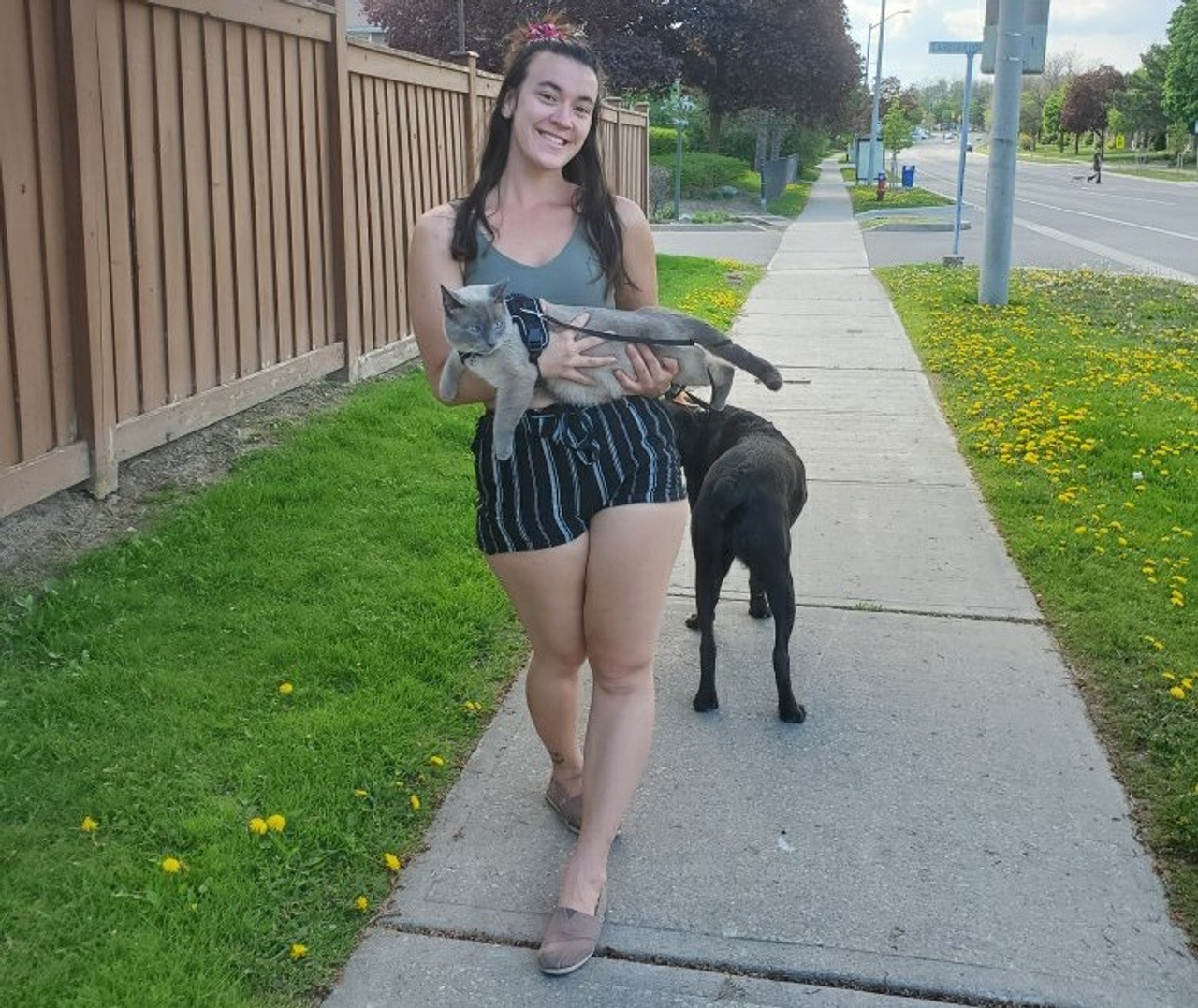 "I probably use his Instagram more than my own": How new pets helped these Torontonians get through the pandemic