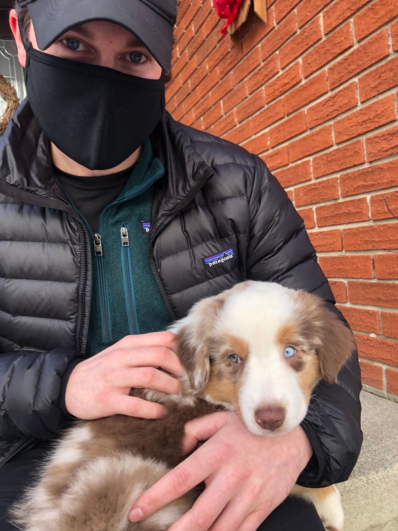 "I probably use his Instagram more than my own": How new pets helped these Torontonians get through the pandemic