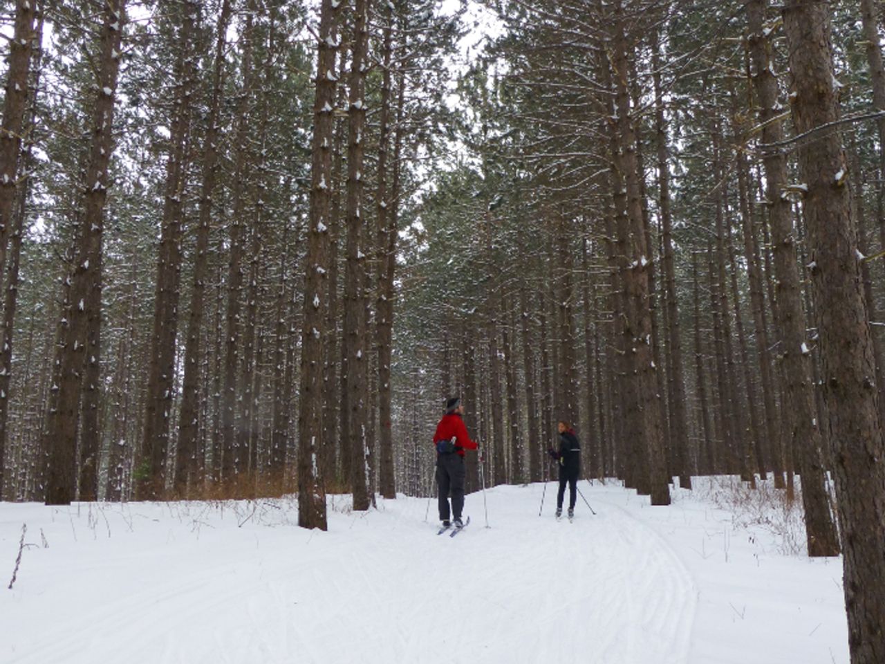 The beginner's guide to Ontario's Greenbelt