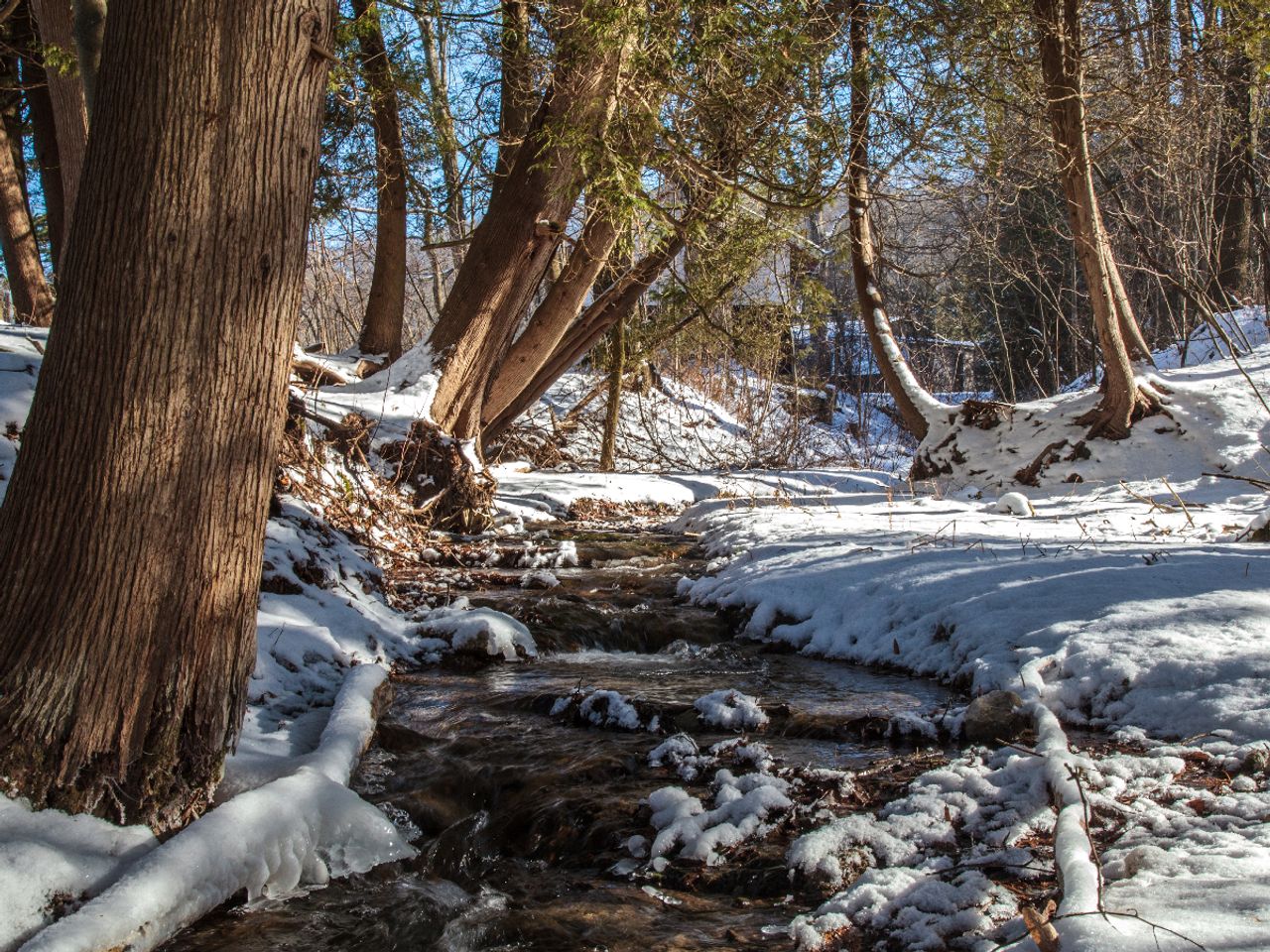 The beginner's guide to Ontario's Greenbelt