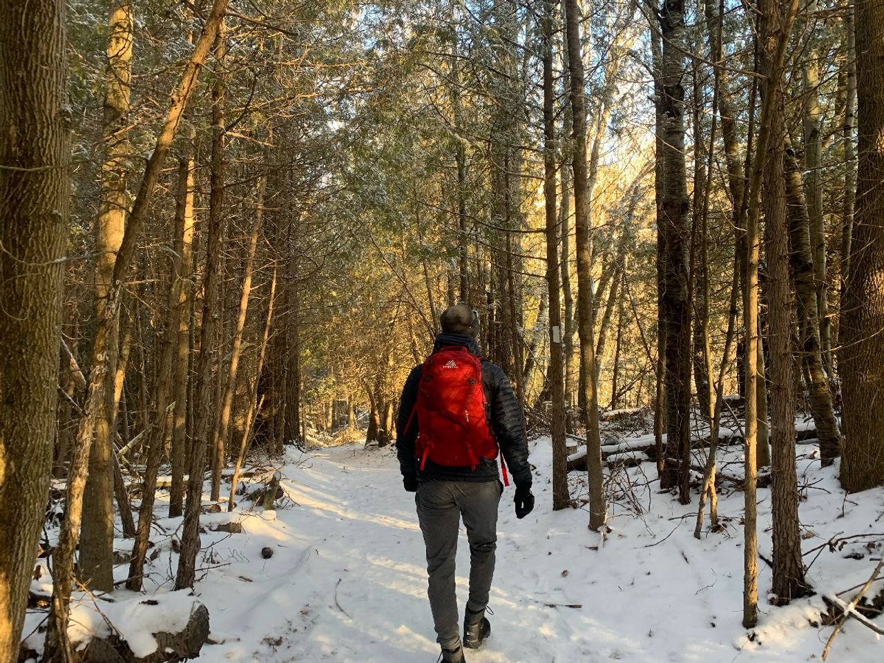 The beginner's guide to Ontario's Greenbelt