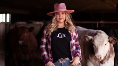 The journey from farm to table: where the beef in your favourite dishes comes from